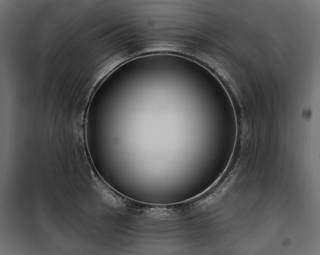 X0000100871137200806201234