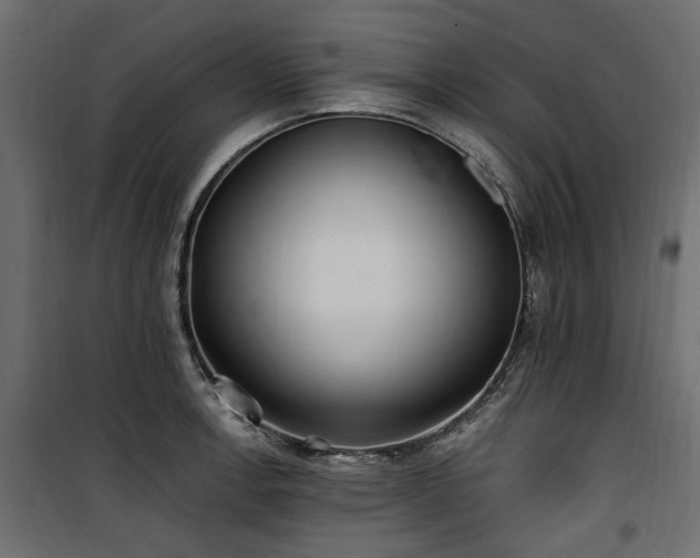 X0000100871138200806201234