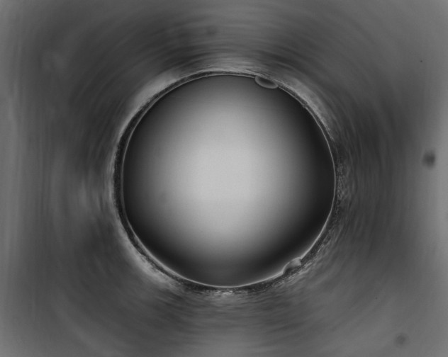 X0000100871139200806201234