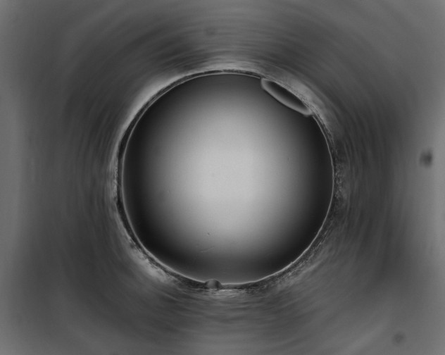 X0000100871140200806201234