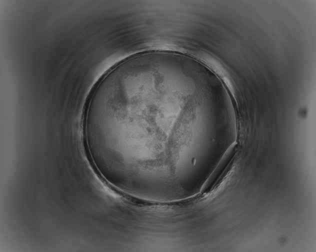 X0000100871141200806201234