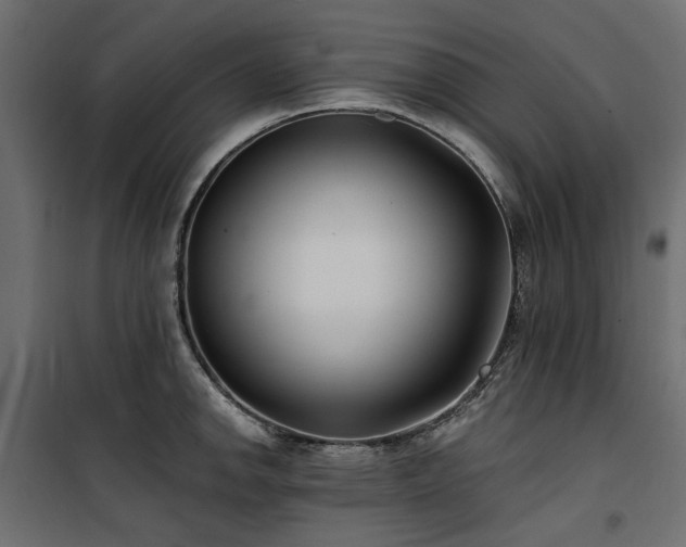 X0000100871142200806201234
