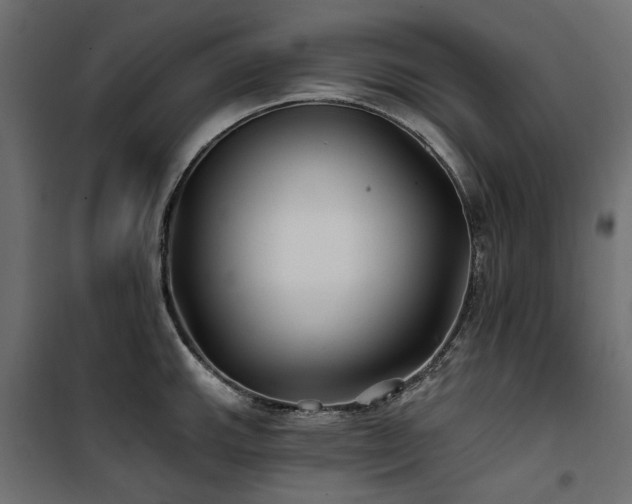 X0000100871143200806201234