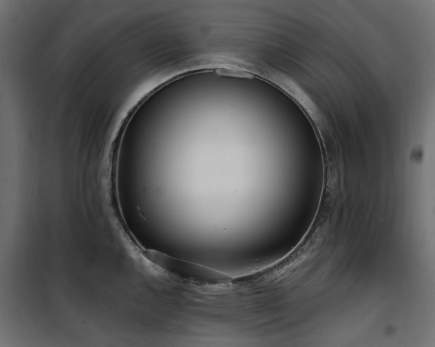 X0000100871144200806201234