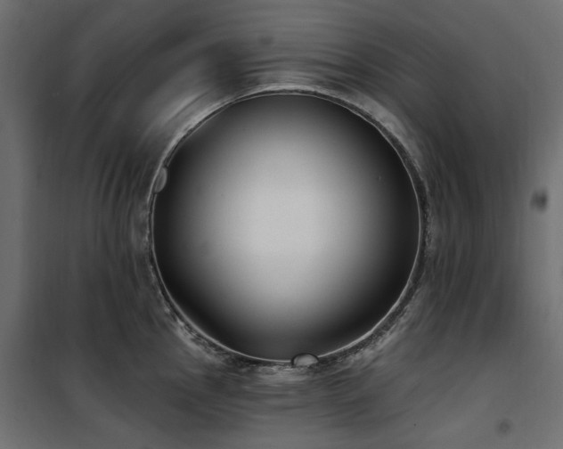 X0000100871145200806201234