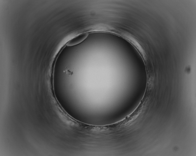 X0000100871146200806201234
