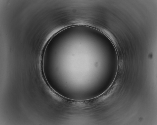 X0000100871149200806201234