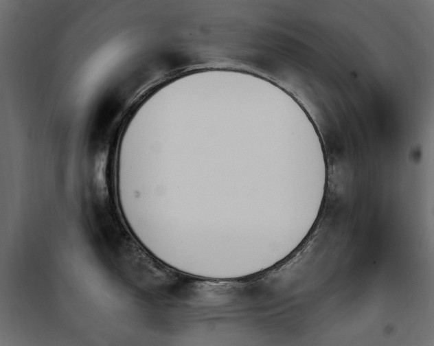 X0000100871150200806201234