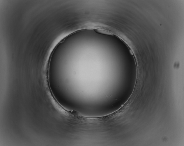 X0000100871152200806201234