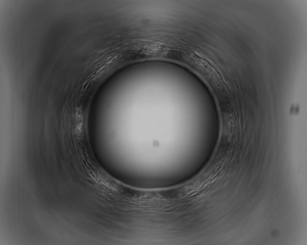 X0000100871154200806201233