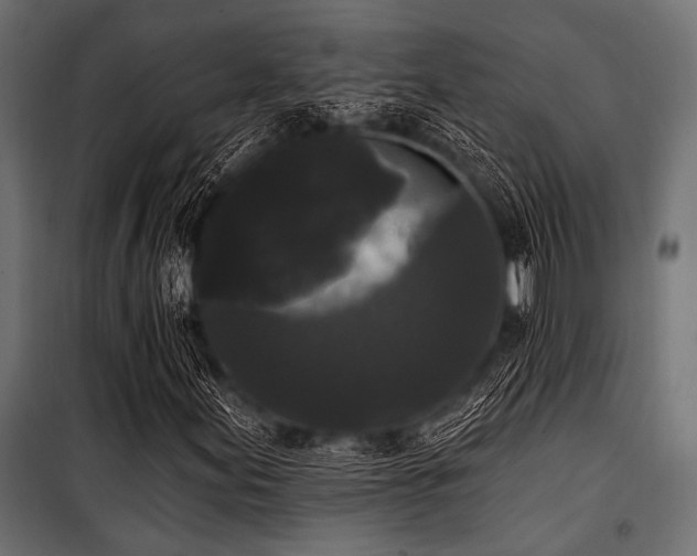 X0000100871155200806201233