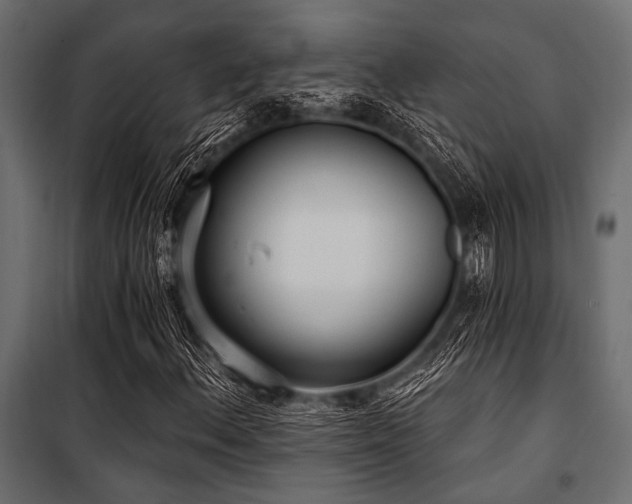 X0000100871156200806201233