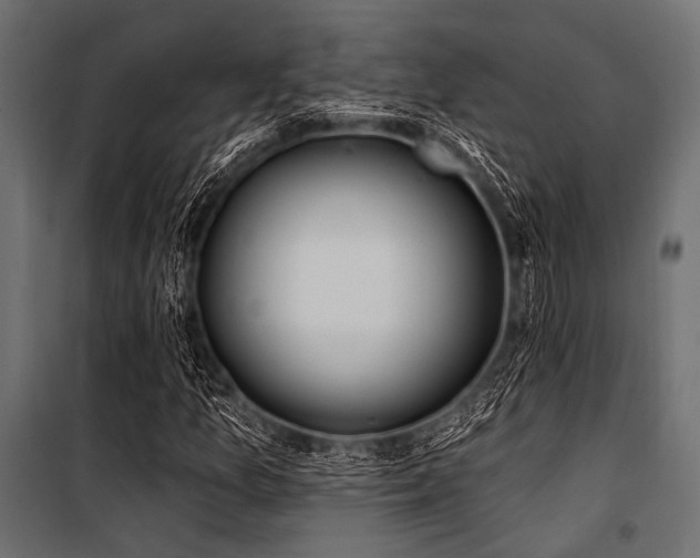 X0000100871157200806201233