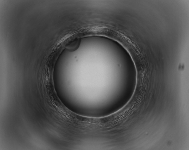 X0000100871158200806201233