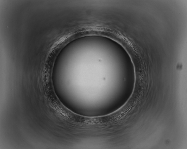 X0000100871159200806201233