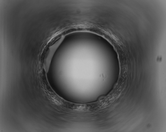 X0000100871160200806201233