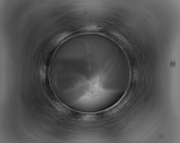 X0000100871161200806201233