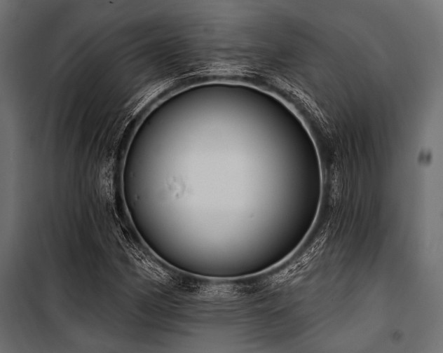 X0000100871162200806201233