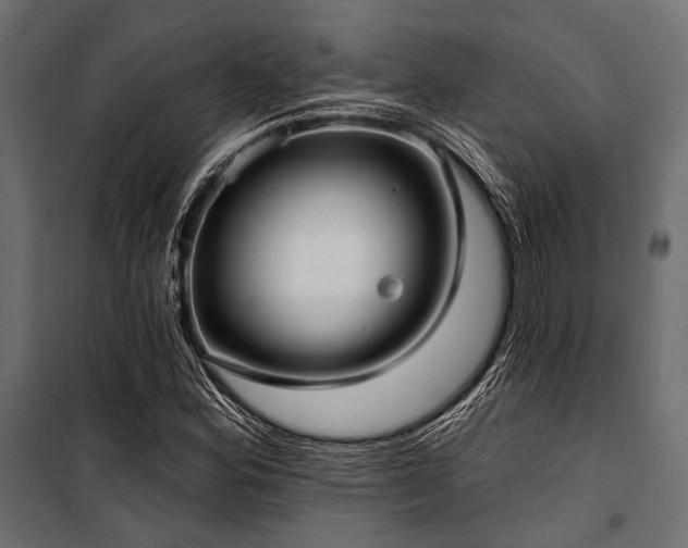 X0000100871164200806201233