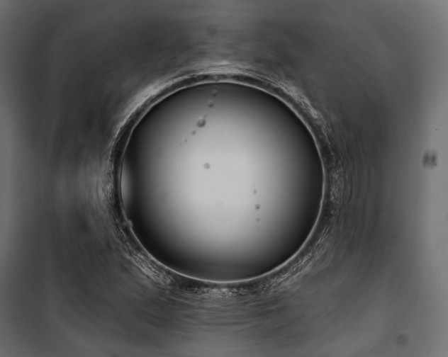 X0000100871167200806201233