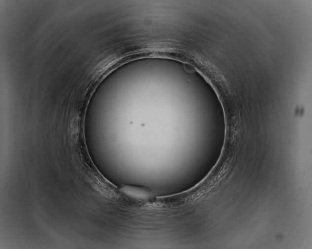 X0000100871169200806201233