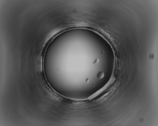X0000100871171200806201233