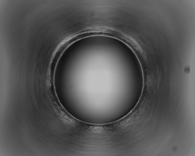 X0000100871172200806201233