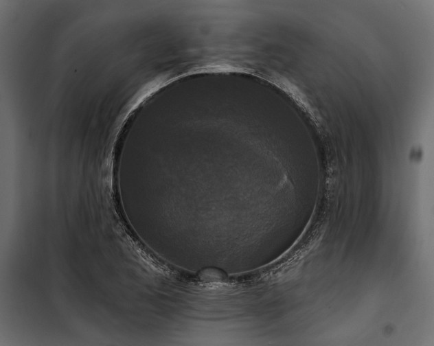 X0000100871173200806201233