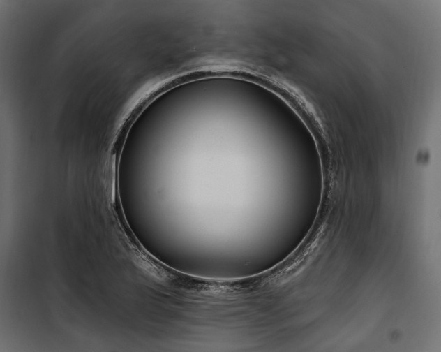 X0000100871175200806201233