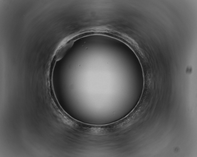 X0000100871176200806201233