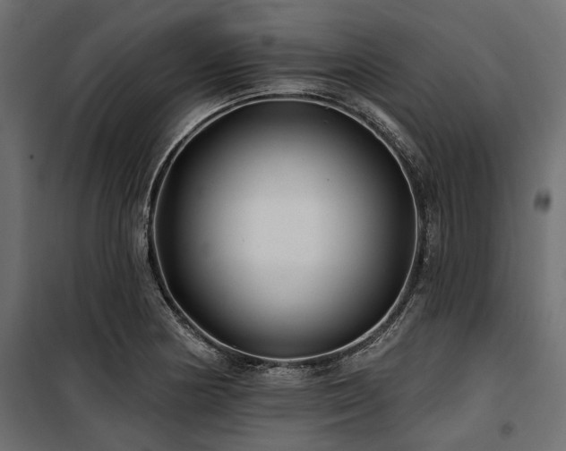 X0000100871178200806201233