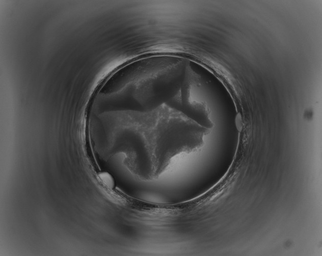 X0000100871179200806201233