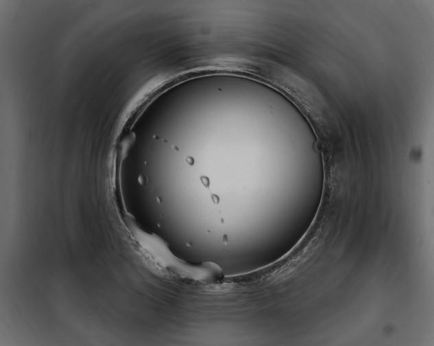 X0000100871180200806201233
