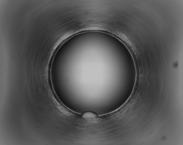 X0000100871181200806201233