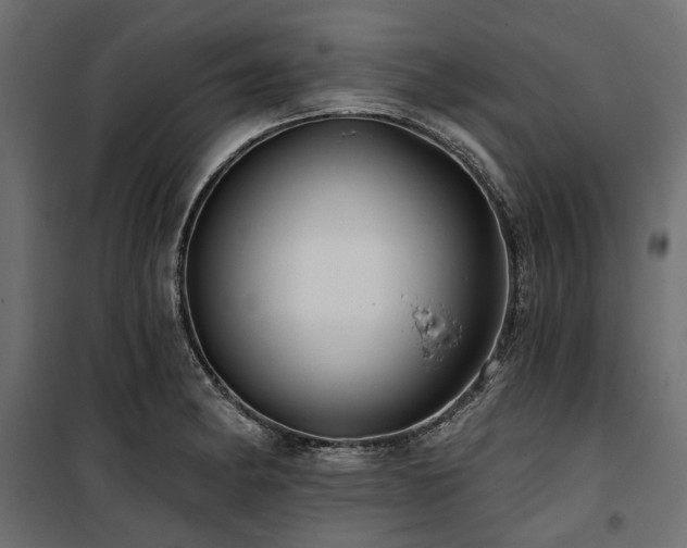 X0000100871182200806201233