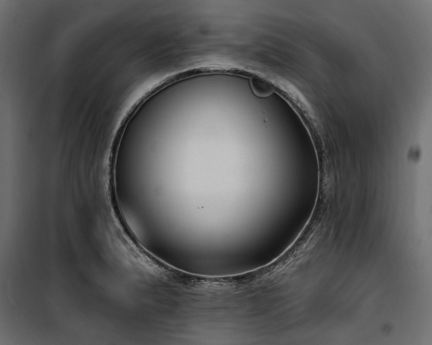 X0000100871183200806201233