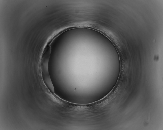 X0000100871184200806201233