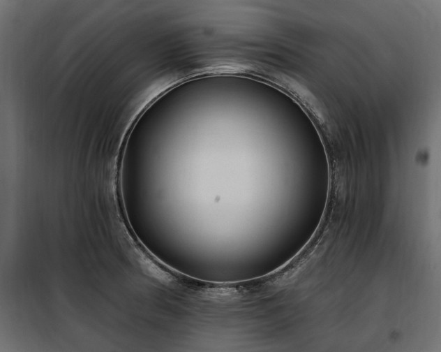 X0000100871186200806201233