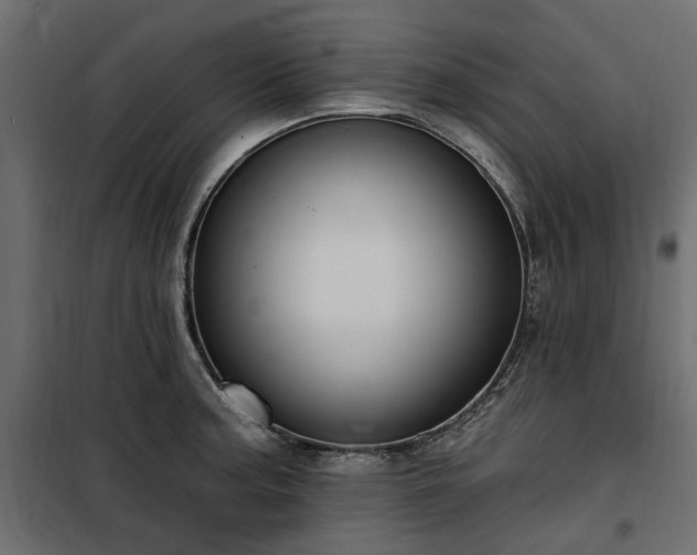 X0000100871187200806201233