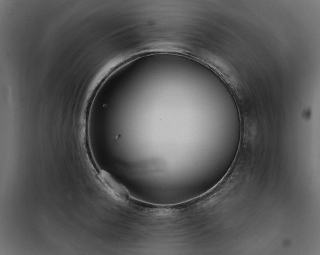 X0000100871188200806201233