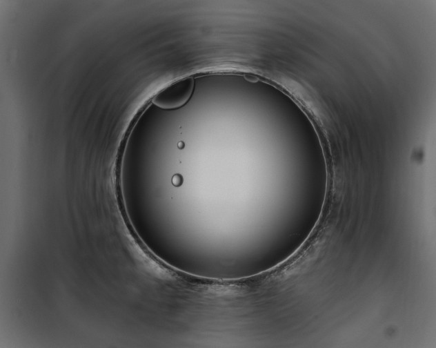 X0000100871189200806201233