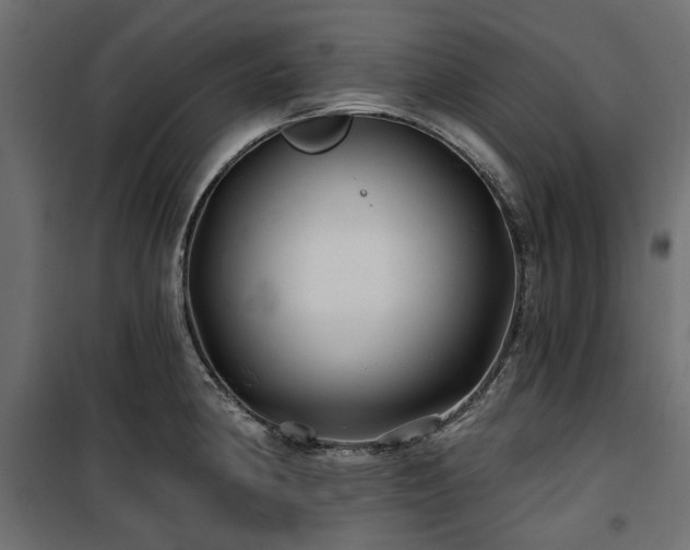X0000100871190200806201233