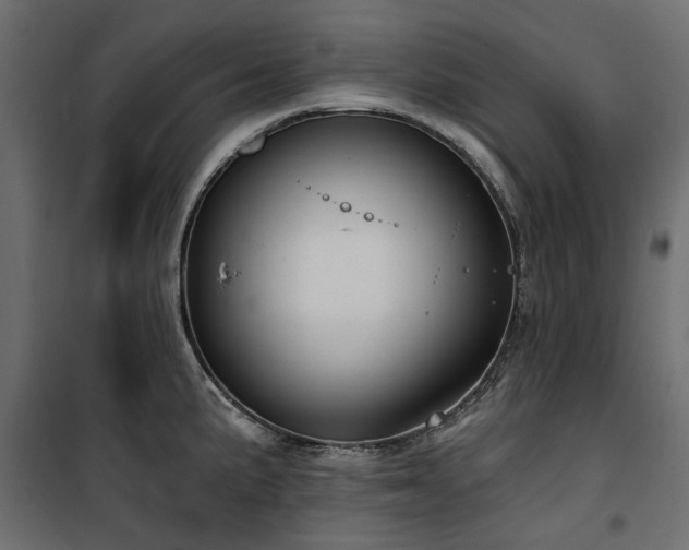 X0000100871191200806201233