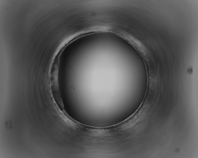 X0000100871192200806201233