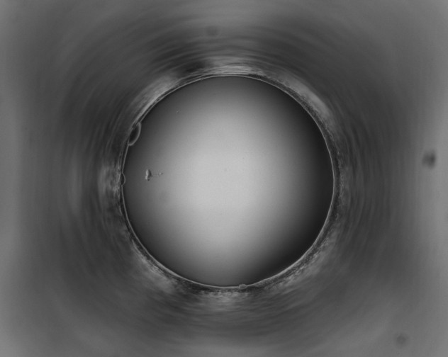 X0000100871193200806201233