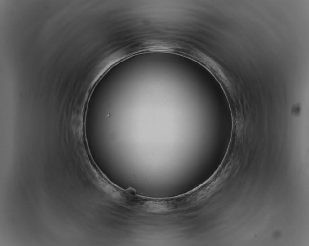 X0000100871194200806201233