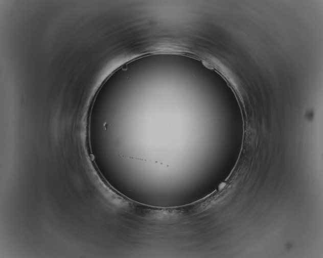 X0000100871195200806201233