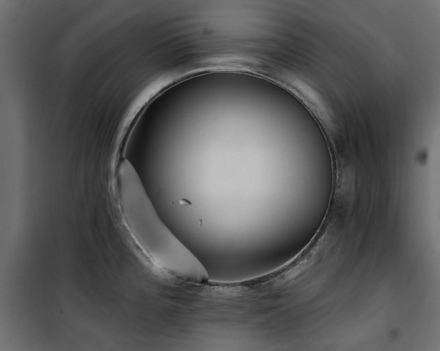 X0000100871196200806201233