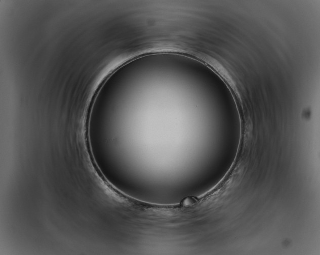 X0000100871197200806201233