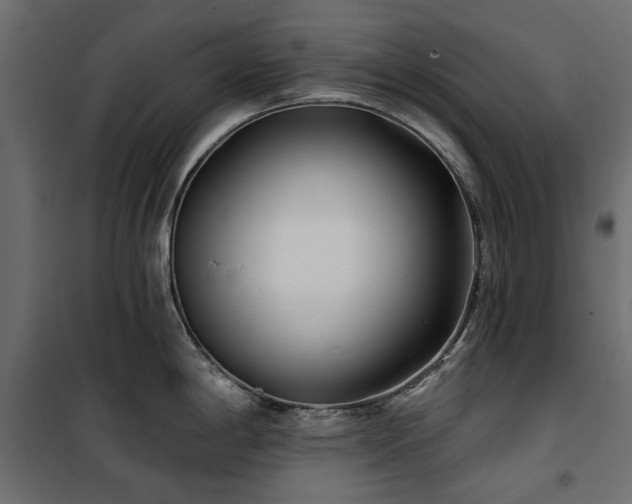 X0000100871198200806201233